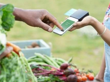 Financial Inclusion Program